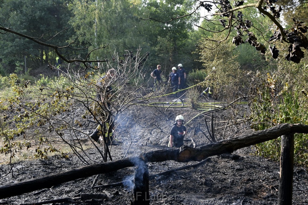 Waldbrand Koeln Hoehenhaus Hoehenfelder Mauspfad P075.JPG - Miklos Laubert